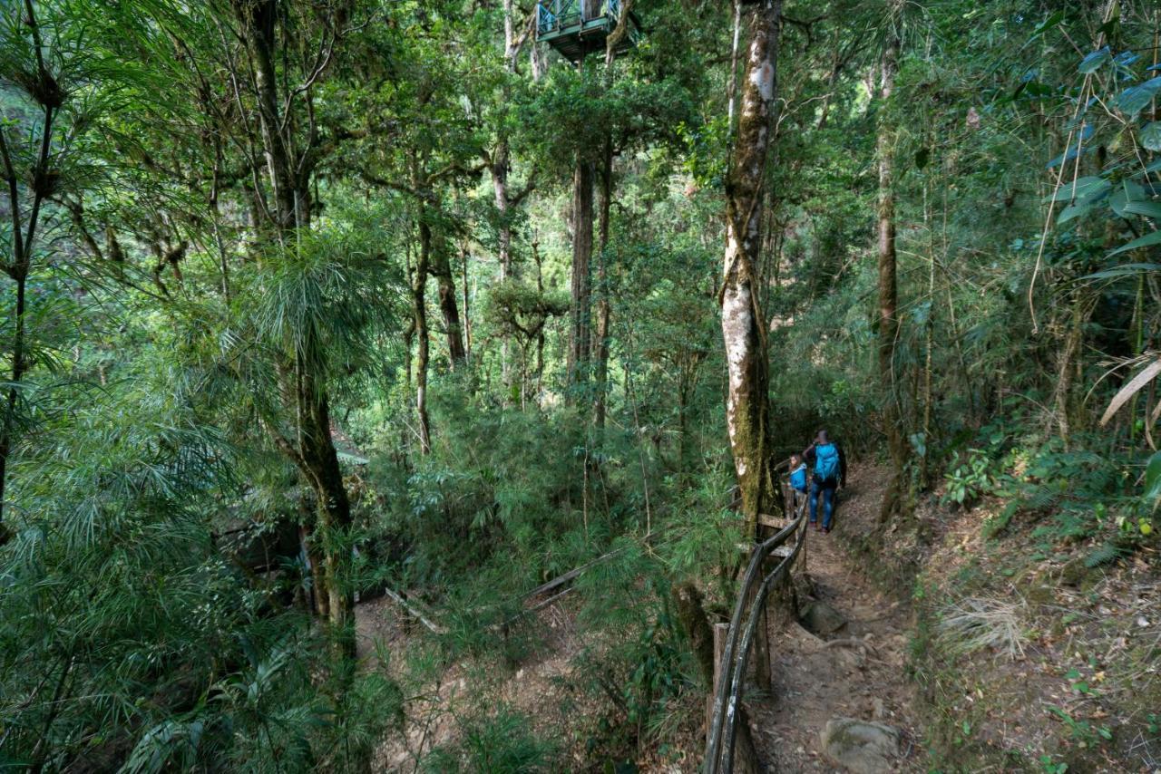 Trogon Lodge ซาน เจราร์โด  เด โดตา ภายนอก รูปภาพ