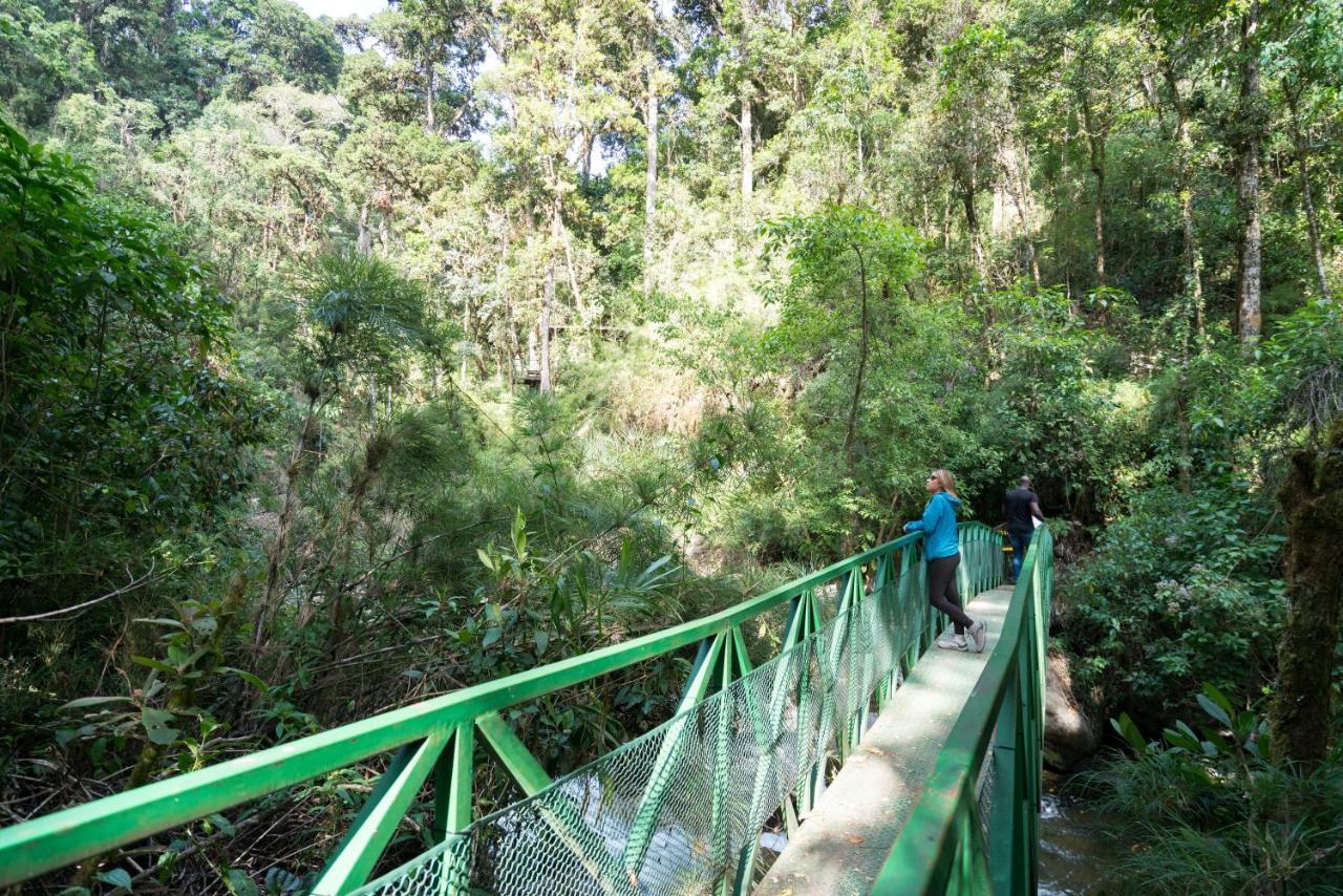 Trogon Lodge ซาน เจราร์โด  เด โดตา ภายนอก รูปภาพ